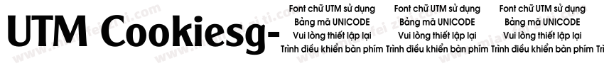 UTM Cookiesg字体转换